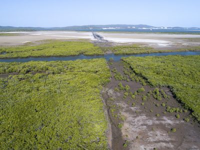 Coastal - Aerial monitoring of mangroves