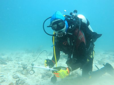 Water quality landing VE - Dive Assessment